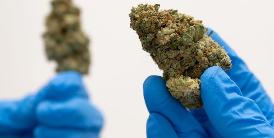 NJ recreational marijuana: What to know before heading to a local dispensary