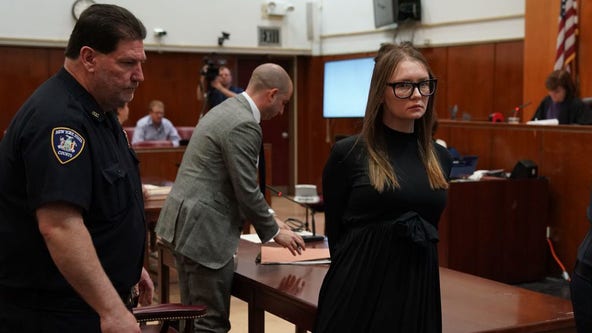 Anna 'Delvey' Sorokin's ex-lawyer has 'run away' with her court file, impeding her appeal