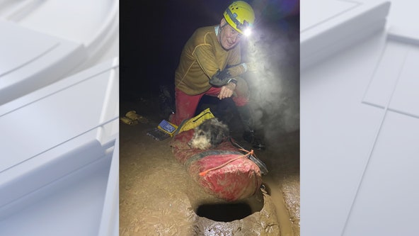 Cave explorers find, rescue dog missing for two months: ‘She was very near death’