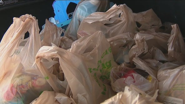 Wegmans in Pa. to eliminate single-use plastic bags in late September