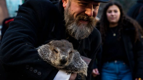 Groundhog Day 2023: Punxsutawney Phil sees shadow, predicts 6 more weeks of winter