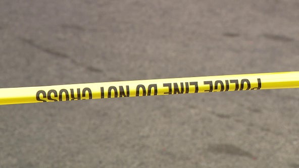 Girl and her dog struck, killed by vehicle while walking in NJ neighborhood: police