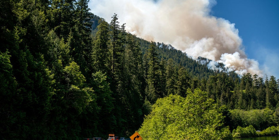 What to do when wildfire smoke smothers your area and how to keep your home's air clean