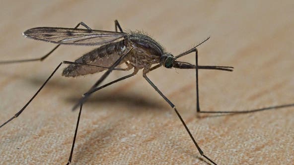 First West Nile virus case in Delaware County announced