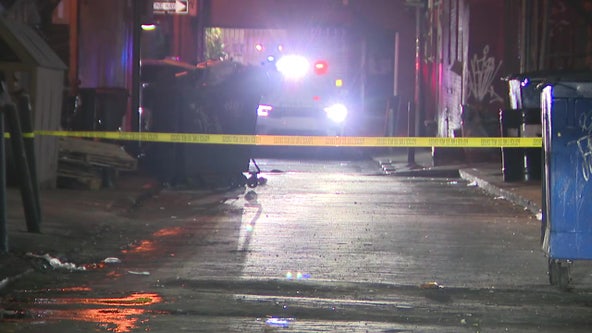 Man found with 'nonsurvivable' shot to the head in Chinatown alley: police