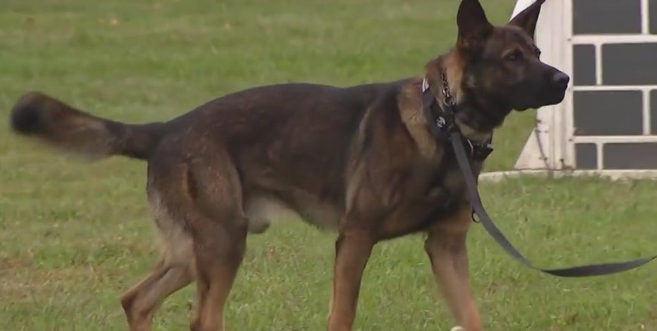 Temple University continues enhanced safety measures by introducing new K-9 officer