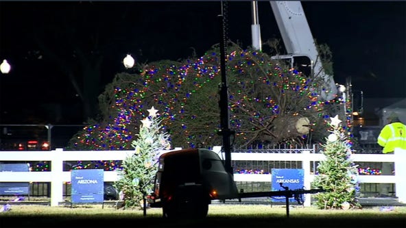 Strong winds knock over National Christmas Tree in front of White House