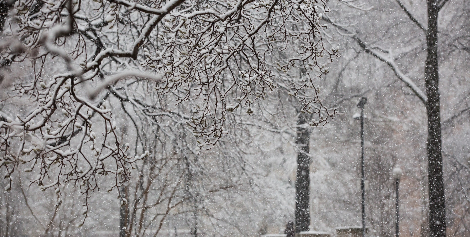 Philly snow forecast: What to expect from weekend nor'easter based on where you live