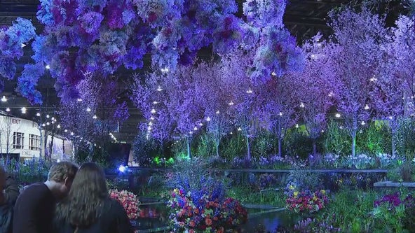 Philadelphia Flower Show 2024 City hundreds of thousands to
