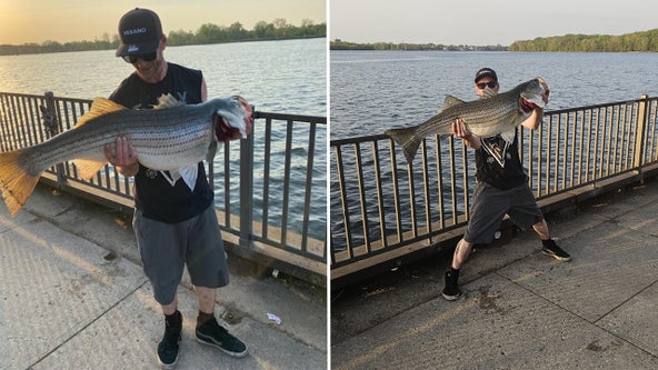 Man hooks massive striped bass while fishing in Delaware River