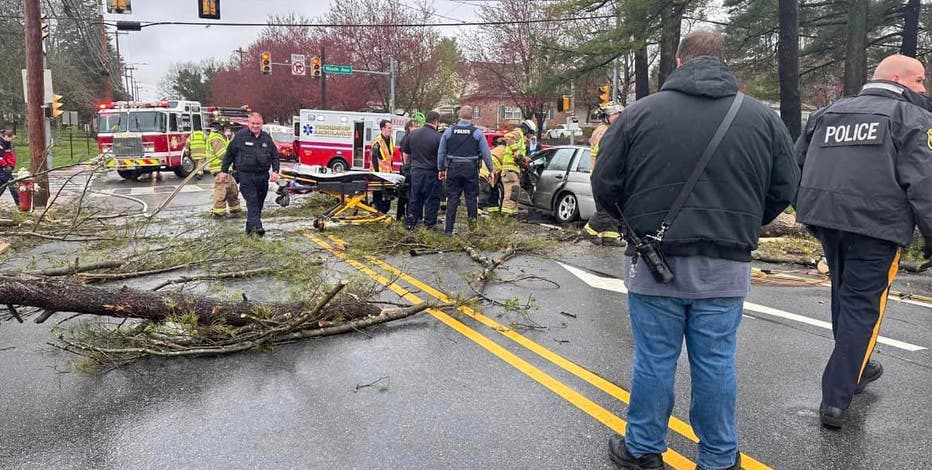 Tree falls on vehicle, killing elderly woman inside in Collegeville: officials
