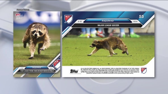 Raccoon the stormed field at Philadelphia Union game gets its own trading card