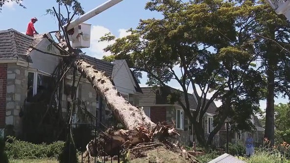 Trees down, power out after brief storm packs a punch, leaving residents in the dark in Montgomery County