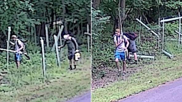 Police searching for 2 accused of damaging over 60 trees along Upper Merion trail