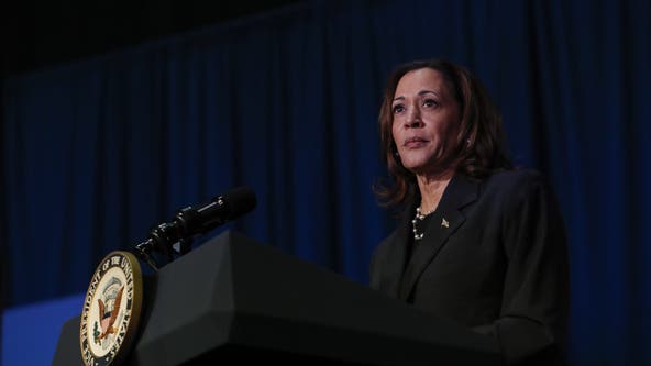 Kamala Harris could beat Trump with this VP pick, swing state poll says