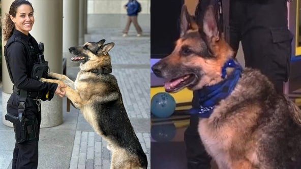 Temple police K9 Chandler passes away weeks after 10th birthday