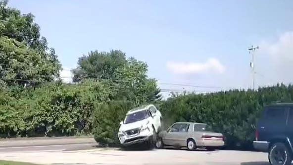 Video catches vehicle fly through hedges, run over car before fleeing in Downingtown