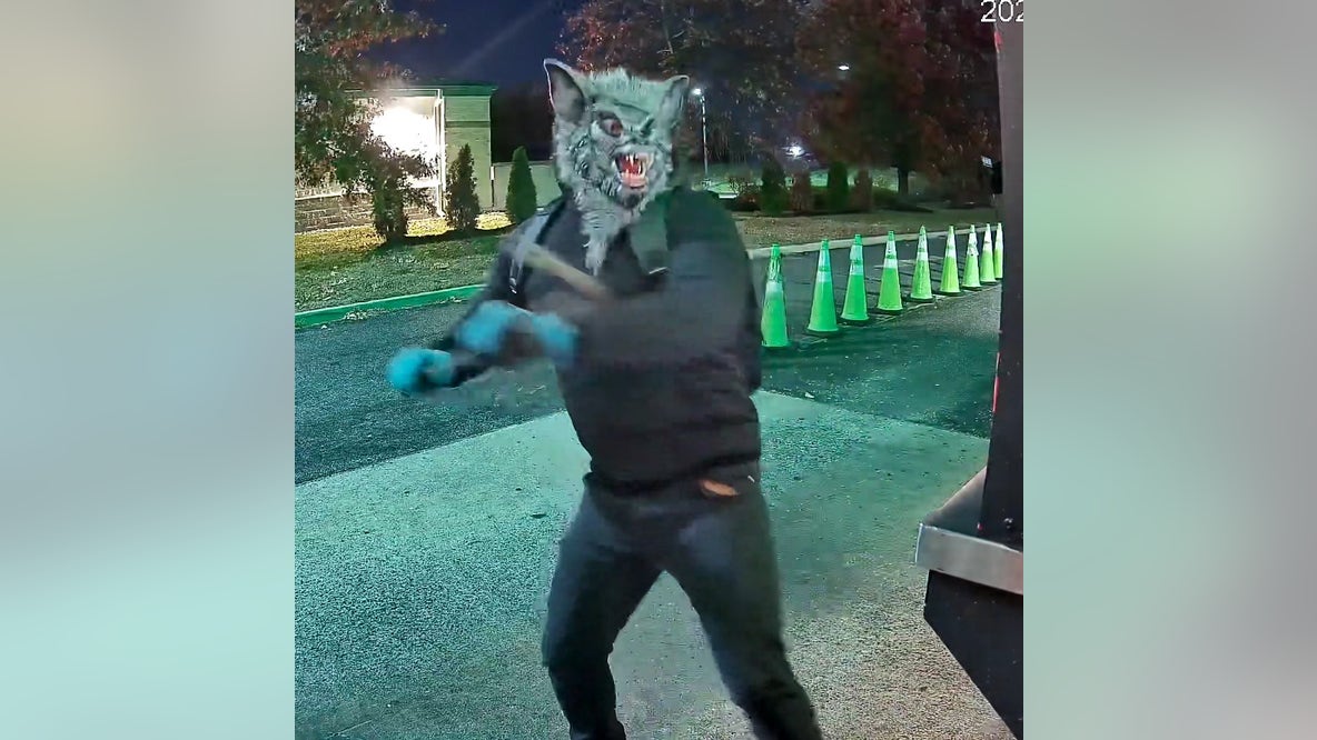 Suspect wearing wolf mask arrested for robbery in Woodbury: police