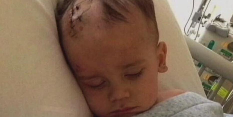 Whitmer signs 'Wyatt's Law' into office, creating public child abuse registry