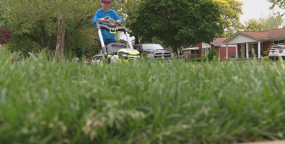 Feel free to not mow your lawn this May, city of Ferndale says