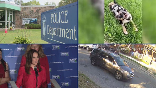 Ypsilanti police's problem • Amazon worker drives off with rare dog • Suspect SUV in toddler's shooting