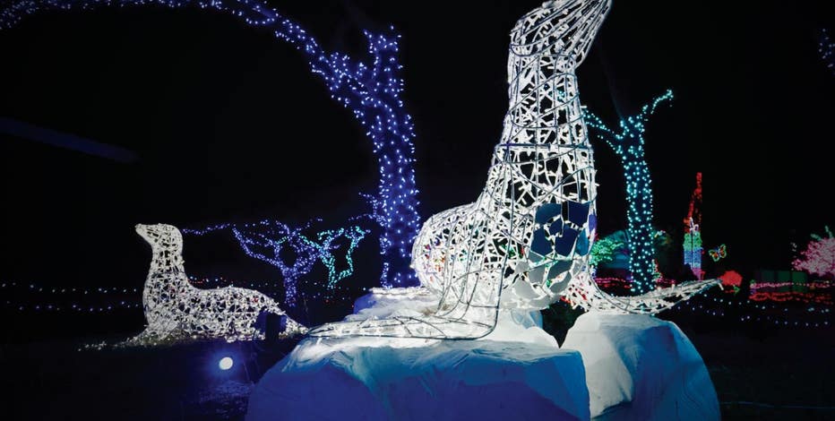 Detroit Zoo Wild Lights tickets now on sale