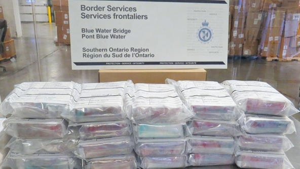 89 bricks of cocaine discovered at Blue Water Bridge; 2 Canadian residents arrested