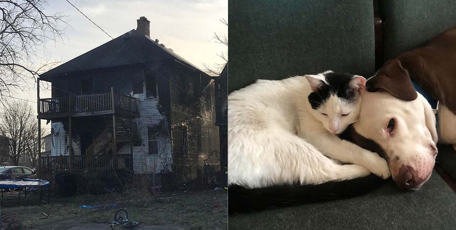 Dog saves toddler from fire that torched Detroit apartment, left family of six homeless