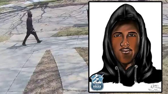 Detroit police release sketch of suspect who raped 80-year-old woman after dragging her out of house