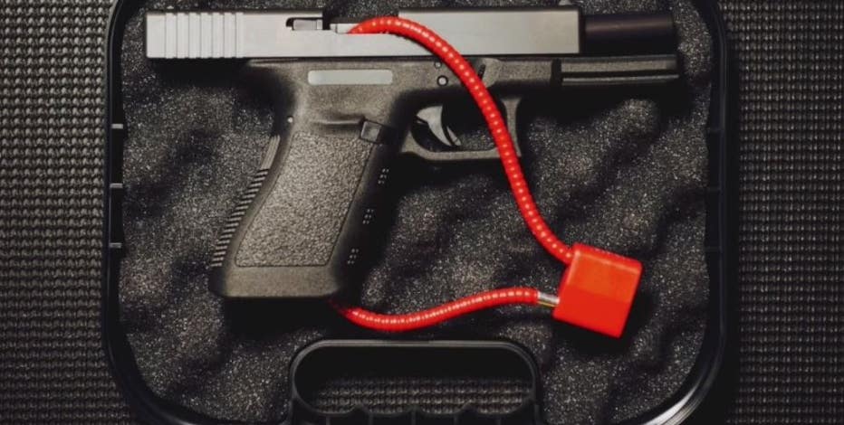 Michigan's safe storage gun law begins Feb. 13: What to know