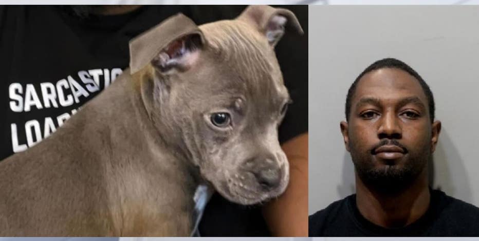 Judge: Detroit man beat emotional support puppy while dog's owner was hospitalized
