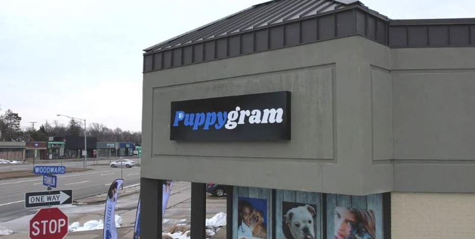 Berkley considers anti-pet store bill as new Puppygram business catches criticism
