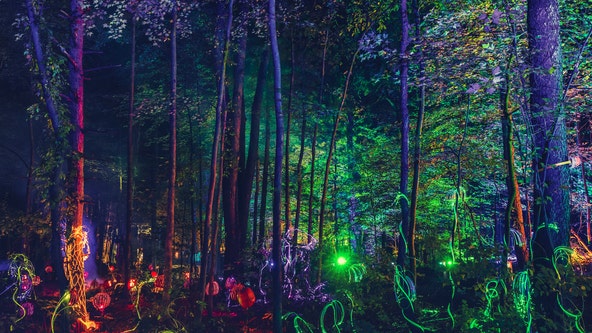 Glenlore Trail's CarnEvil opens this weekend with immersive Halloween fun