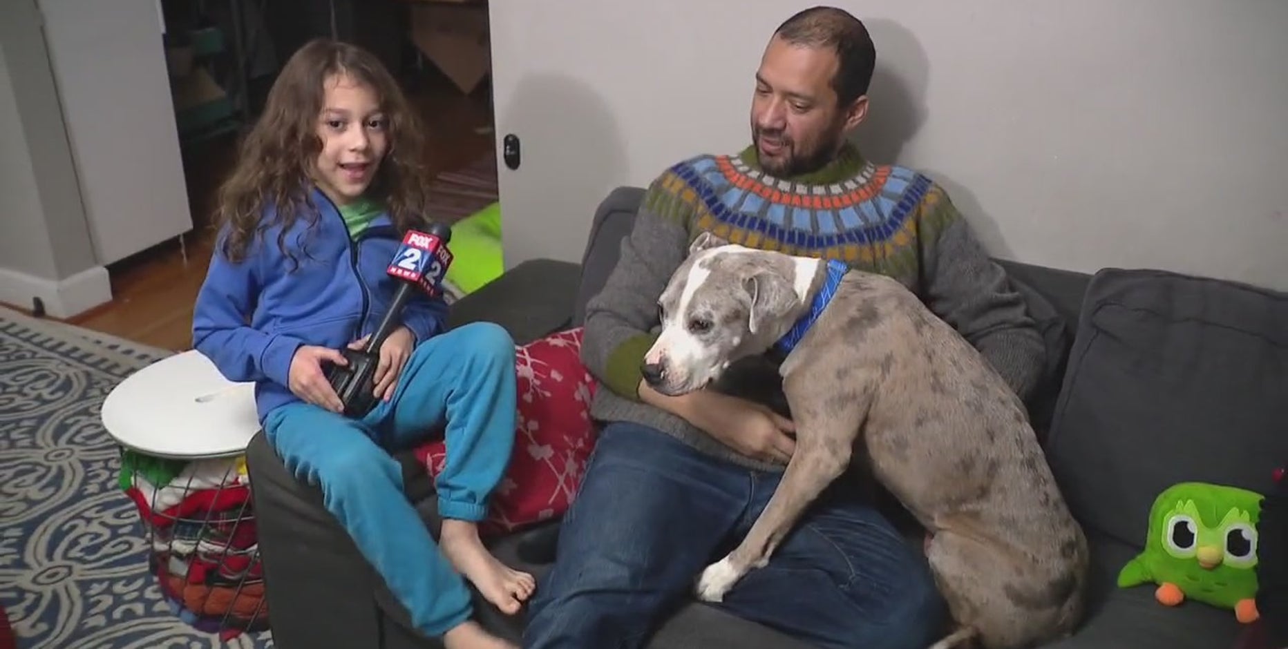 Detroit boy's missing emotional support dog found safe after being gone for 71 days