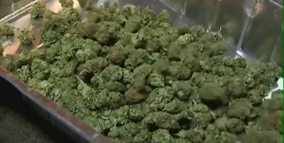 Pot dispensary ballot question loses in all four Metro Detroit communities