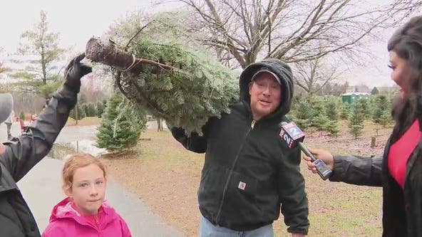 Michigan ranks third in Christmas tree production, with plenty to choose from this holiday