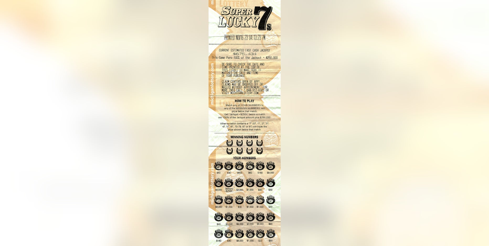 Woman thought something was wrong with app when she saw nearly $1 million Michigan Lottery prize