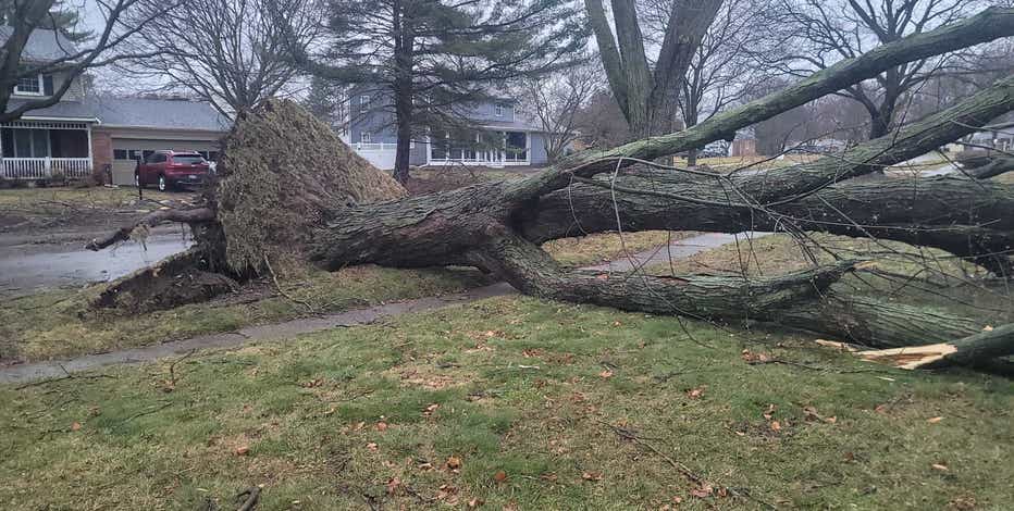 Suspected Grand Blanc tornado knocks down trees, uproots gas lines, damages homes