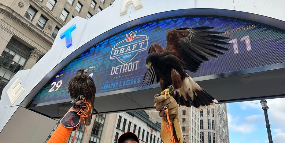 Poop patrol ahead of NFL Draft: Hawk, falcon used to keep downtown Detroit clean