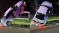 Drunk driver goes vertical in Ann Arbor, police say