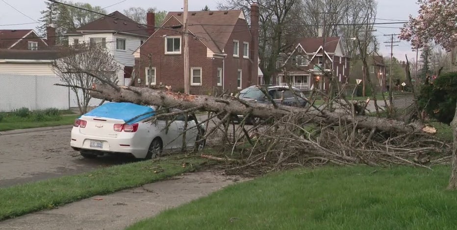 Storm damages property, causes uprooted trees and downed powerlines in metro Detroit