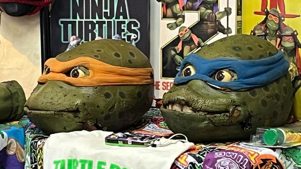 Pizza power! Fans celebrate 40 years of Teenage Mutant Ninja Turtles
