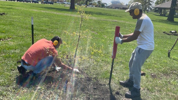 DNR, non-profit team up for Belle Isle tree planting