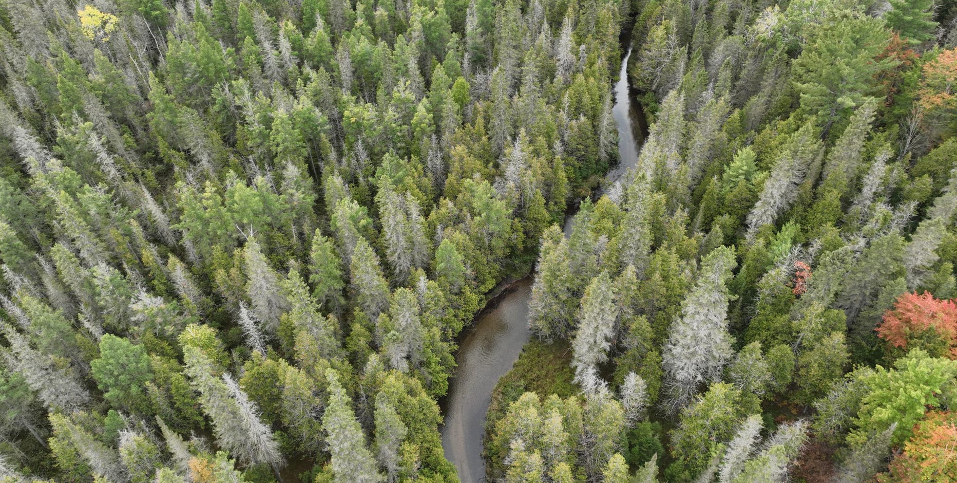 Michigan DNR land auction includes lakefront property, an island, and hundreds of acres of space