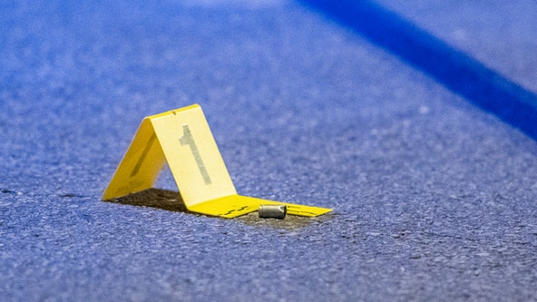 Man shot to death on Chicago's West Side: police