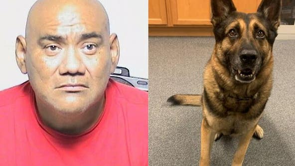 Man arrested after Lake County Sheriff's K9 finds over 2 kilograms of cocaine during traffic stop