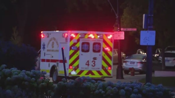 43-year-old dies after falling into Diversey Harbor