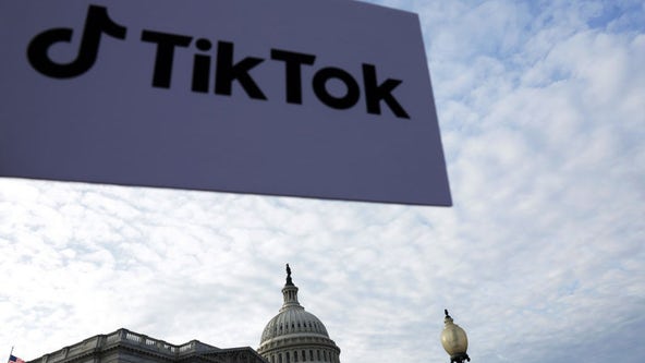 TikTok CEO to appear before Congress over security fears