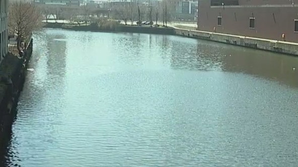 Body ID'd after being pulled from Chicago River in Lincoln Park