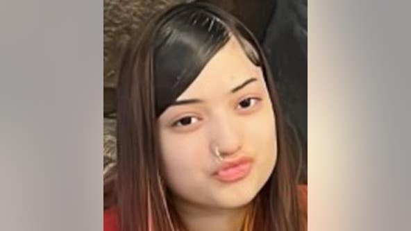 Girl, 15, reported missing from Pilsen